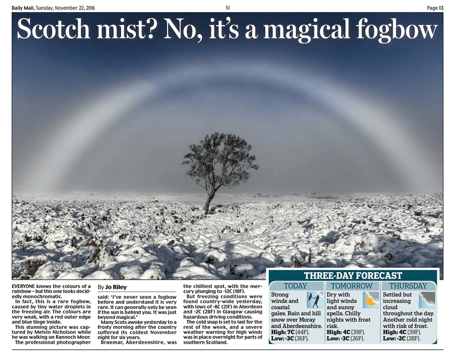 Rare Fogbow