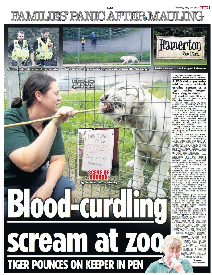 Tiger Zoo