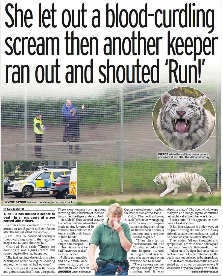 Tiger Zoo