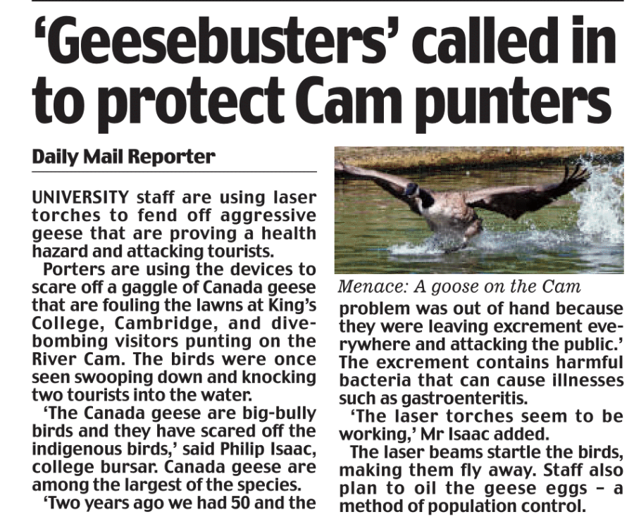 Geese Lasers