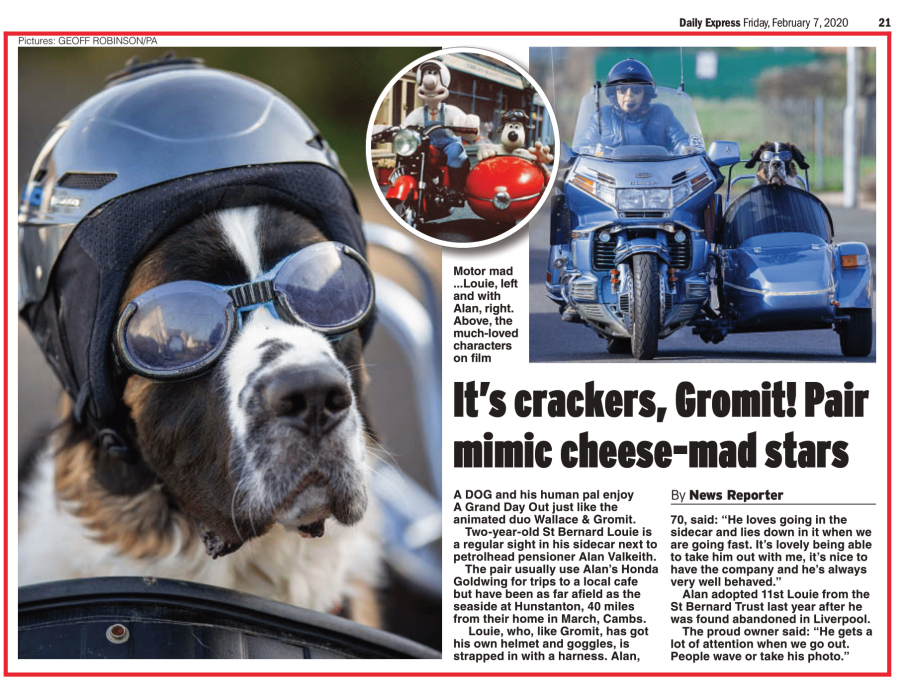 Motorbarking Dog