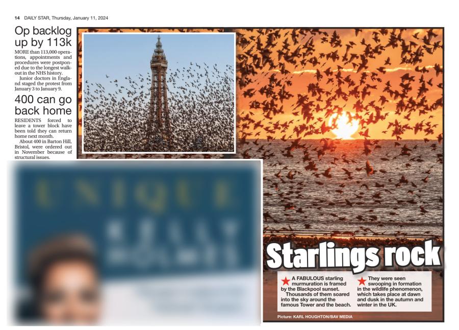 504 3 Starlings Star