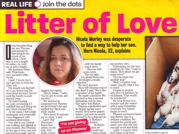 Litter of Love Lessons