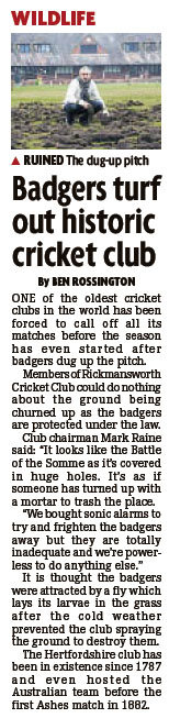 Another Badger Cutting