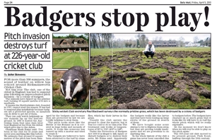 Badger Cutting