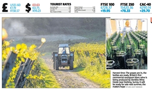 Denbies cutting 2