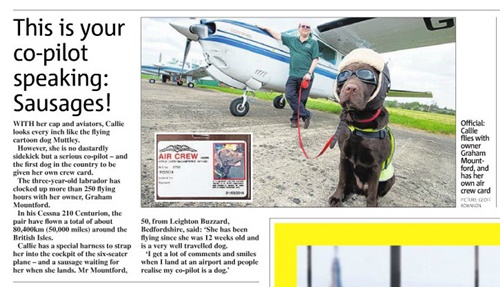 Flying-dog-4-Cutting Flying-dog-4