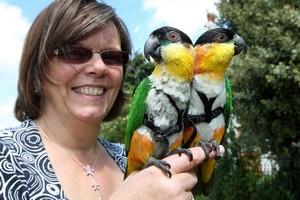 Jane Hartley with her parrots
