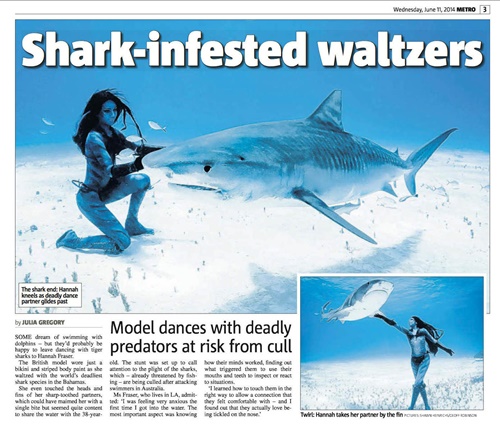 Shark-cutting-1 Shark-cutting-1