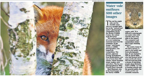 Cutting Wildlife-Centre-cutting